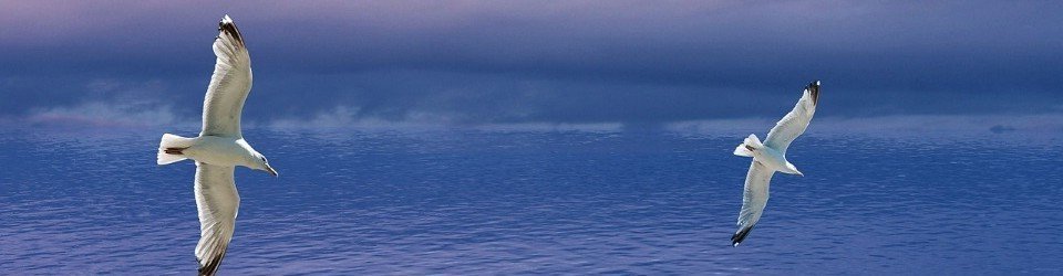 zoeken vinden loslaten