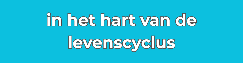 Audiocolumn In het hart van de levenscyclus over scheppend vermogen, ruimte en tijd, overgave en de kracht tussen schepper en schepping